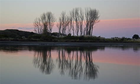 Whakatane River At Sunset Photograph By Venetia Featherstone Witty