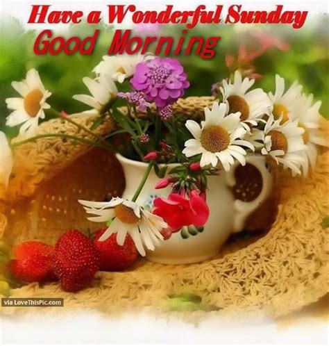 Have A Wonderful Sunday Good Morning Pictures Photos And Images For