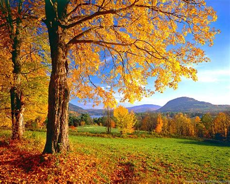 Vermont 4k Wallpapers Top Free Vermont 4k Backgrounds Wallpaperaccess