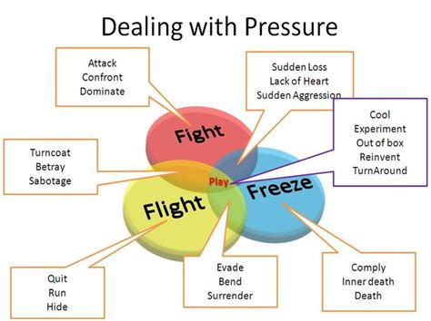 During a fight or flight response digestion is slowed or halted. Pin on Danielle