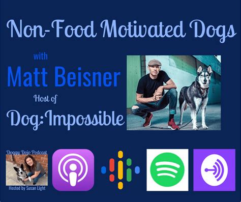 Non Food Motivated Dog With Matt Beisner Host Of Dog Impossible