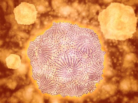 Microscopic View Of Canine Parvovirus Canine Parvovirus Is A Highly