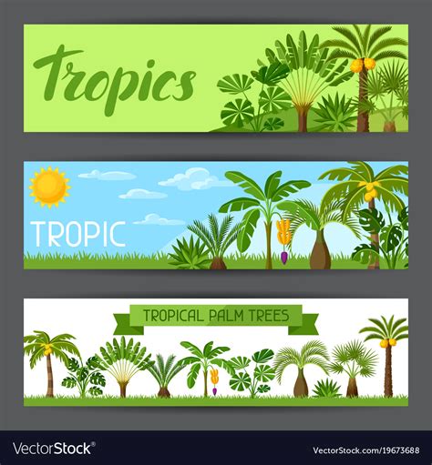 Banners With Tropical Palm Trees Exotic Tropical Vector Image