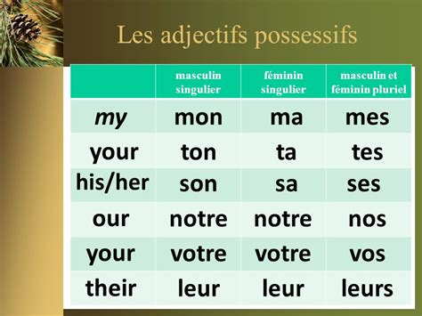 Les Adjectifs Possessifs French Beginner 1 Magali Blanc Fall 2021