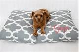 Photos of Dog Pillow Beds
