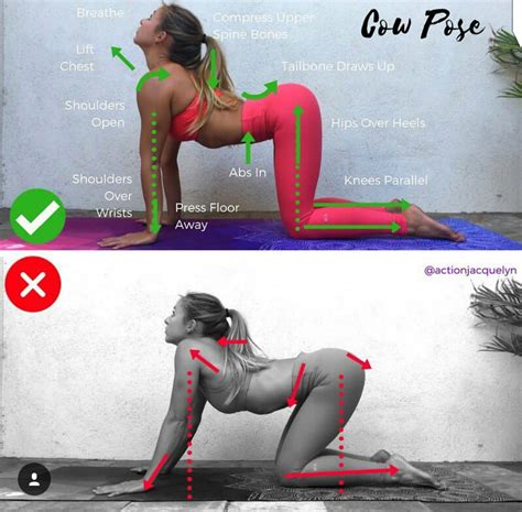 Pin By Jacoline Jacobs On Yoga Explore Cow Pose Yoga Tutorial Poses