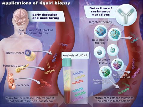 Detection Of Circulating Tumor Dna In Early And Late Stage Human