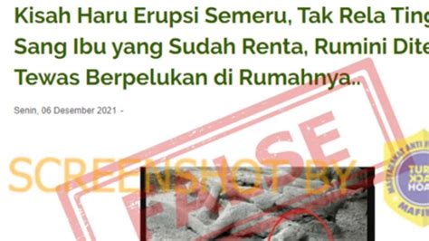 Cek Fakta Foto Anak Dan Ibu Korban Semeru Ditemukan Tewas Berpelukan