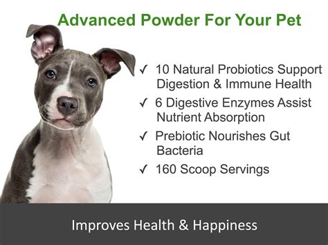 Tummyworks Probiotic Powder For Dogs And Cats Relieves Diarrhea Upset