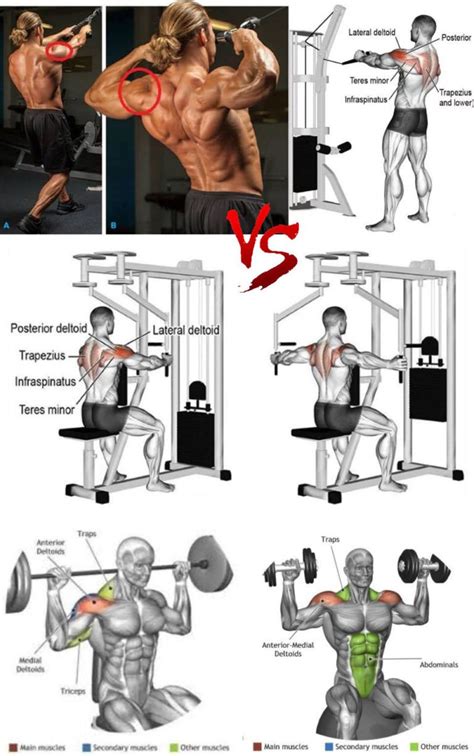 How To Delts Exercises Sets Reps Guide Weighteasyloss Com