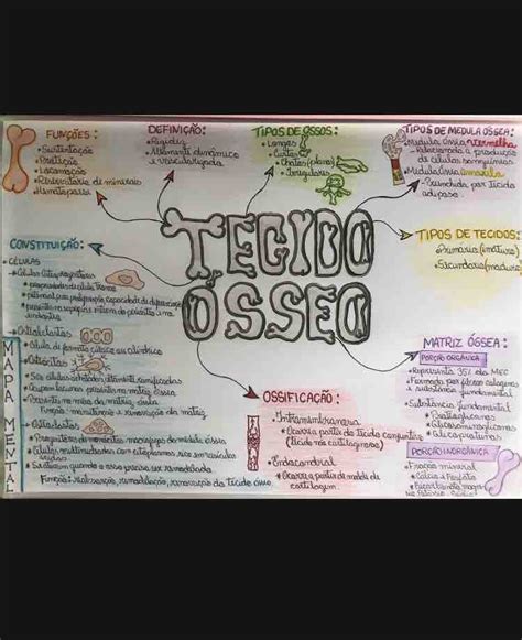 Mapa Mental Tecido ósseo Histologia Veterinária