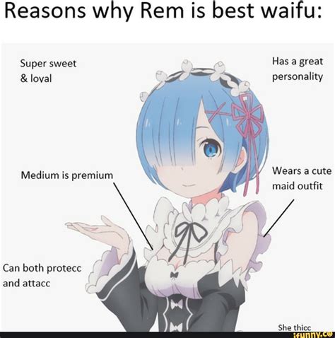 Reasons Why Rem Is Best Waifu Super Sweet Has A Great And Loyal