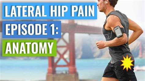 Episode 1 Lateral Hip Pain Anatomy Gluteal Tendinopathy Bursitis Scientific Research