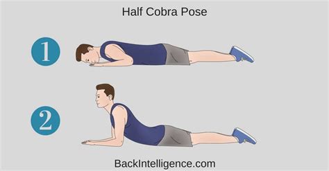 It is sometimes called a bulging, protruding, or ruptured disk. 7 Herniated Disc Exercises For Lower Back (Lumbar Area) | Back exercises, Exercise, High ...
