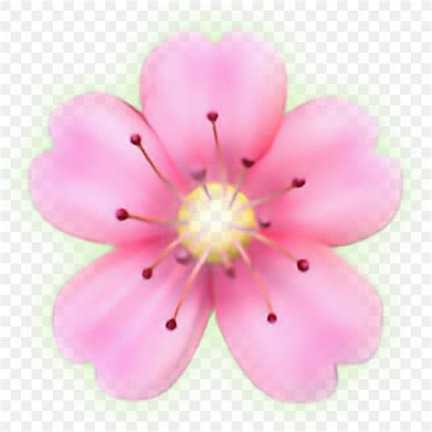 Flower Emoji Sticker Petal Picsart Photo Studio Png 1024x1024px