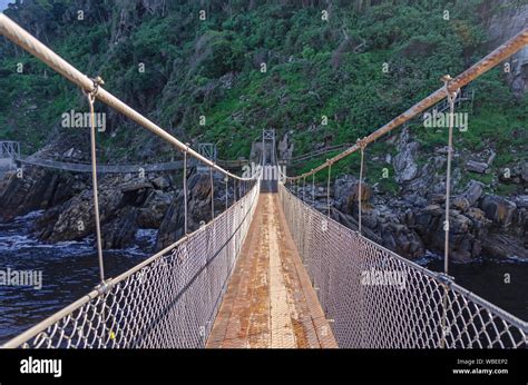 Suspension Footbridge Over The Storms River In The Tsitsikamma National