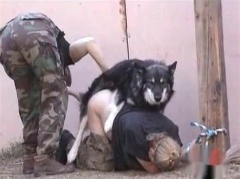 Сторожевые собаки ебут пленную американскую шлюху Порно Сирии