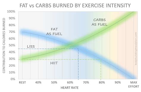 HIIT Vs LISS A Clear Explanation Of Which Is Best For Fat Loss