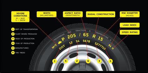 What Is A Tyre And What Are Its Types Explained Carbiketech Images