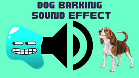 Dog Barking Sound Effect Youtube