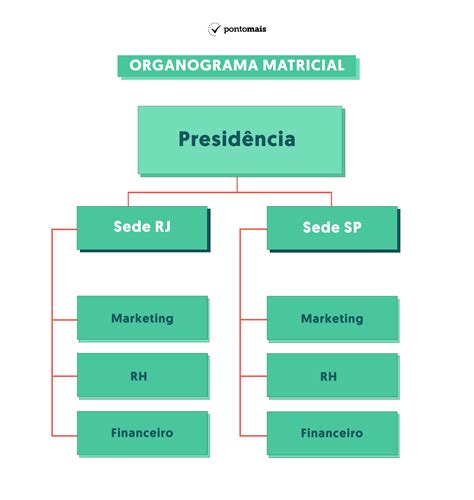 Estrutura Organizacional Organograma Da Empresa Layout De Vetor De