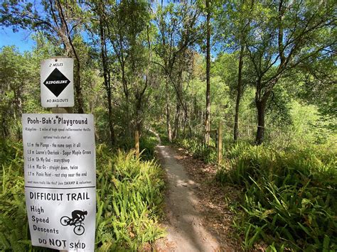Balm Boyette Mtb Trail System Wimauma Mountain Biking Florida