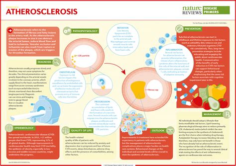 Atherosclerosis Nature Reviews Disease Primers