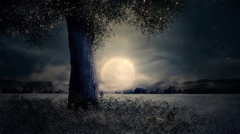Hd Wallpaper Moonlit Dark Night Sky Darkness Lone Tree Lonely