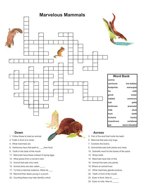 Word searches are great for helping children to: 10 Best Printable Dementia Activities - printablee.com