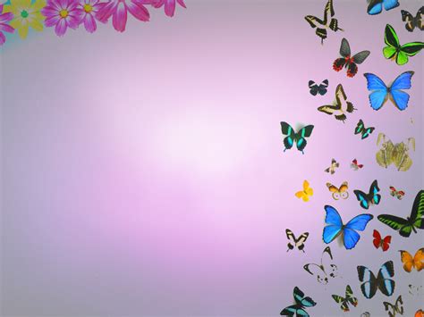 Butterflies And Flowers Background For Powerpoint Flower Ppt Templates