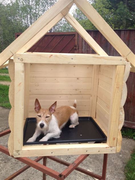 If you have plenty of time to spare or you love doing diy projects, you should try making your 1. How to Make a Dog House from Scratch (13 pics) - Izismile.com