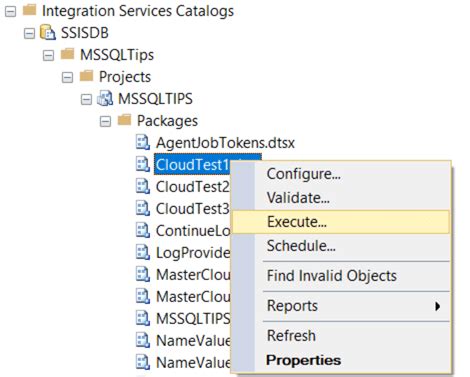 Execute SSIS Package In Azure SSIS Integration Runtime