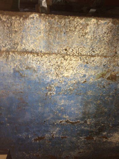 Maybe you would like to learn more about one of these? HELP! Mold Removal In Basement - Is This Black Mold? | DIY Forums