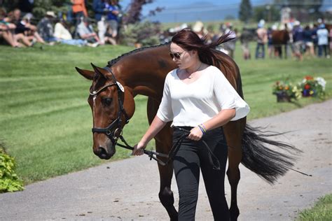 Project Runway All Accepted In Rebecca Farmnayc First Horse