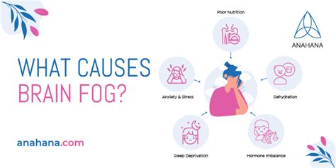 Brain Fog What Is It The Symptoms And How To Clear Brain Fog