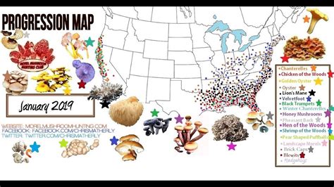 Morel Mushroom Map 2017 All Mushroom Info