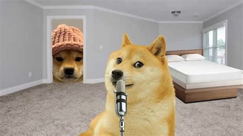 The Best 8 Pfp Beanie Dog With Hat Meme Drawareinterestjibril