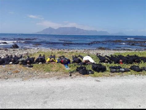 Robben island is in the western cape of south africa, approximately 7 km off the coast and 12 km from cape town harbour. Poachers Arrested at Robben Island · Fishing Industry News SA