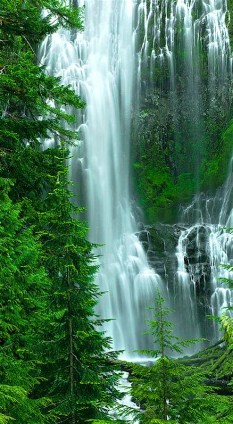 Proxy Falls In The Willamette National Forest East Of Eugene Oregon