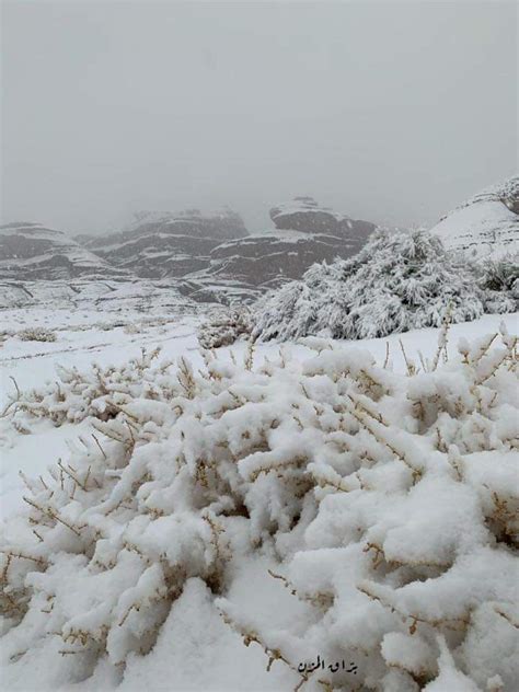 The deserts of saudi arabia were covered in a white layer as the country experienced snowfall in an unlikely event on tuesday after temperatures dropped below zero degree celsius in central and. Snow fall in Neom, Saudi Arabia : pics