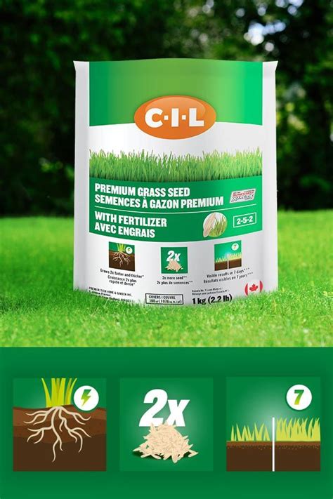 Best Grass Seed For Patching Bare Spots - 5 Best Grasses for High-Traffic Areas: Durable Grass for Your Yard