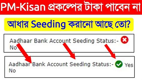 Pm Kisan Aadhar Bank Account Seeding No Ll Aadhar Seending Yes Kaise Kare Ll Pmkisan Youtube