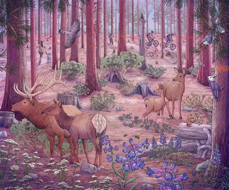 Educational Oregon Trailhead Illustration 1 Of 2 Nature