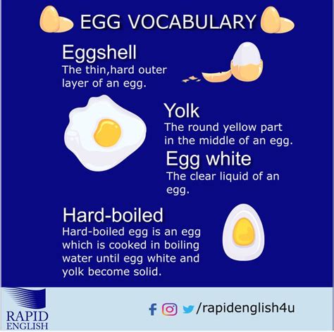 Egg Vocabulary Eggs Vocabulary Hard Boiled Eggs