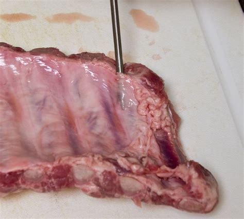 Ribs = the bones in your chest that protect. Barbecue Pork Ribs (Baby Back or Spare) - Recipe File - Cooking For Engineers