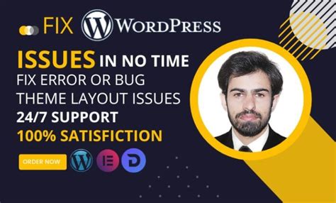 Fix Wordpress Issues Errors Bugs Elementor Expert Help By Farid Designer Fiverr