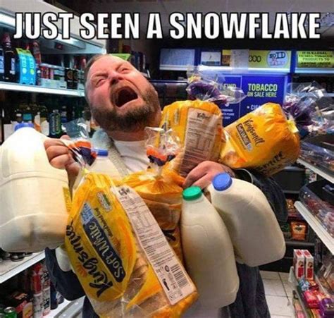 Snow Day Memes 29 Pics
