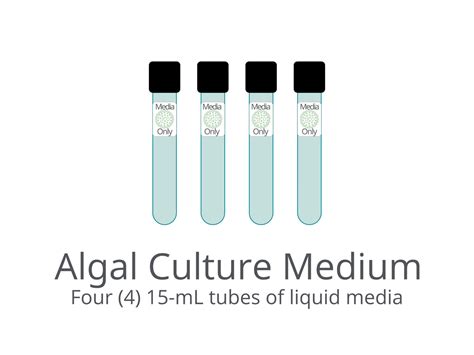 Bold Basal Medium Utex Culture Collection Of Algae