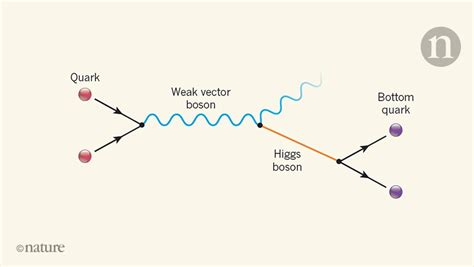 Long Sought Decay Of The Higgs Boson Seen