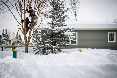 Photos Signs Of Alaska Spring Buried In Snow Anchorage Daily News